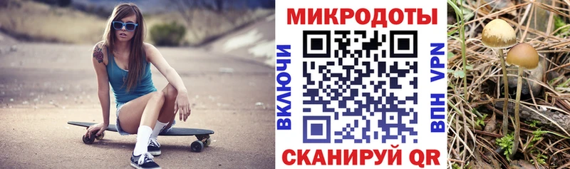 Галлюциногенные грибы прущие грибы Белый
